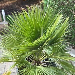 351487500606734336.jpeg?x-oss-