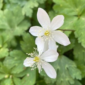 367135741503504384.jpeg?x-oss-