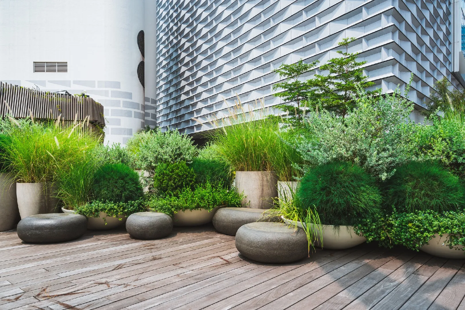 How to Maximize Small Spaces for Urban Gardening