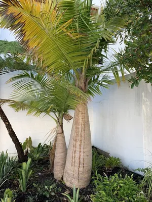 422711102191271949.jpeg?x-oss-