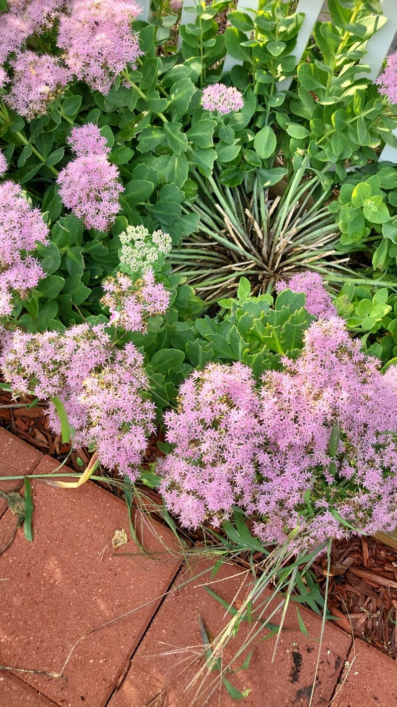 452885991930265603.jpeg?x-oss-