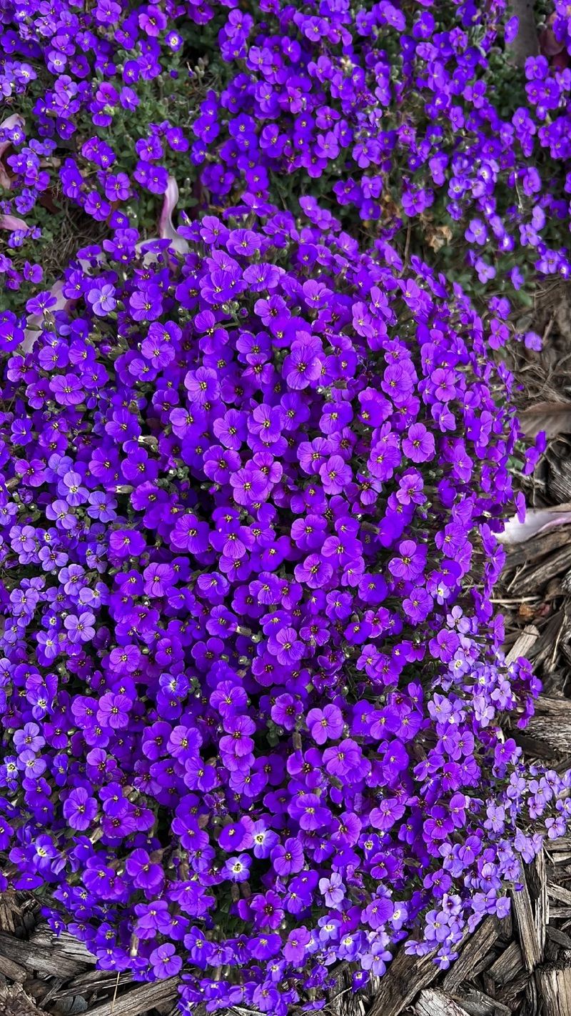 452887422154375169.jpeg?x-oss-