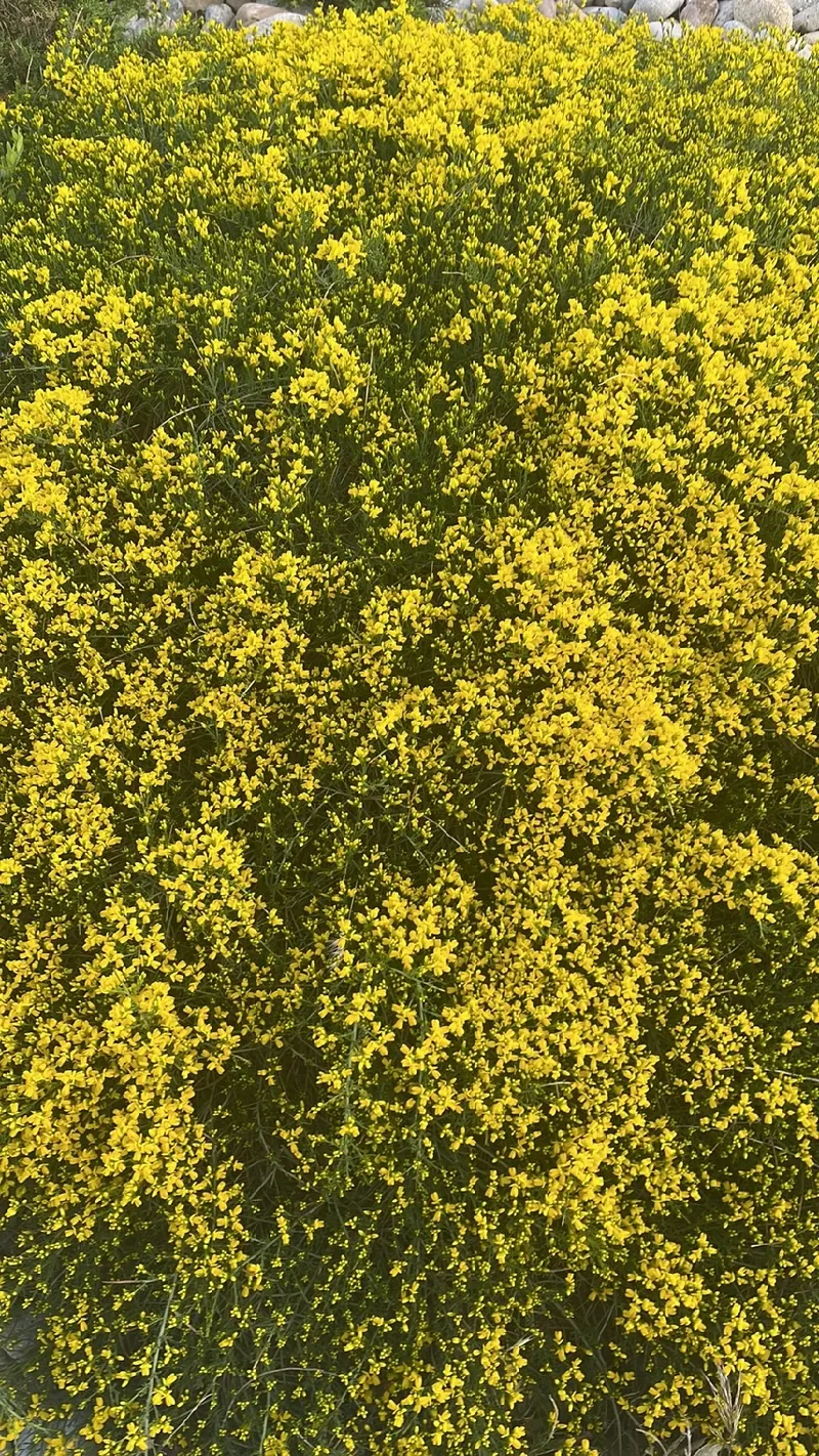 WiFi 6 IP Camera Manuals / Datasheets / Instructions - Manuals+, image size:800x1422