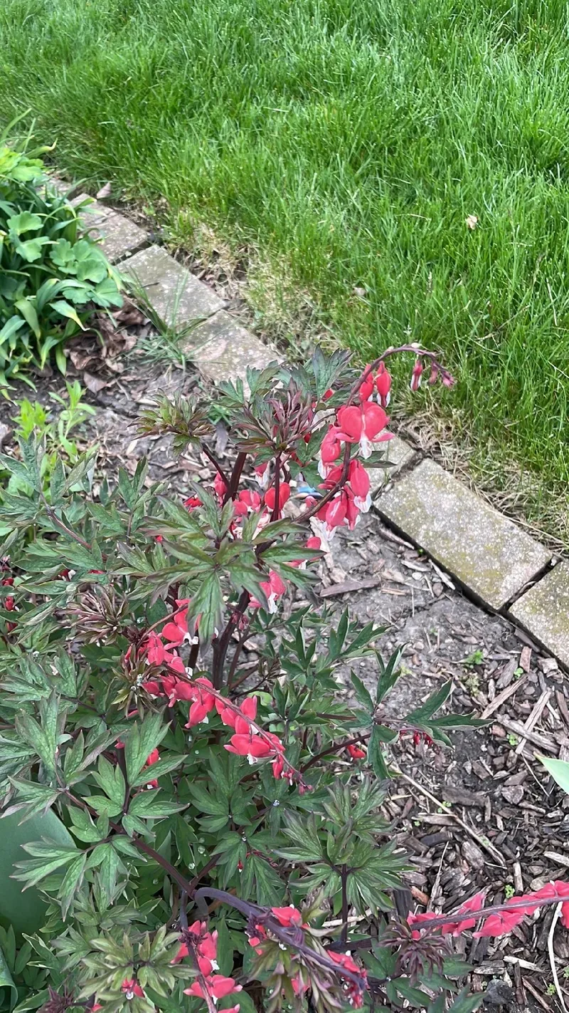 Goed nieuws vier je. Dat geldt ook voor @eenkijkinmijnhart toen ze in  november positief nieuws kreeg van haar dokter. , Bekijk en lees haar hele  verhaal via #billie , #komoptegenkanker, image size:800x1422