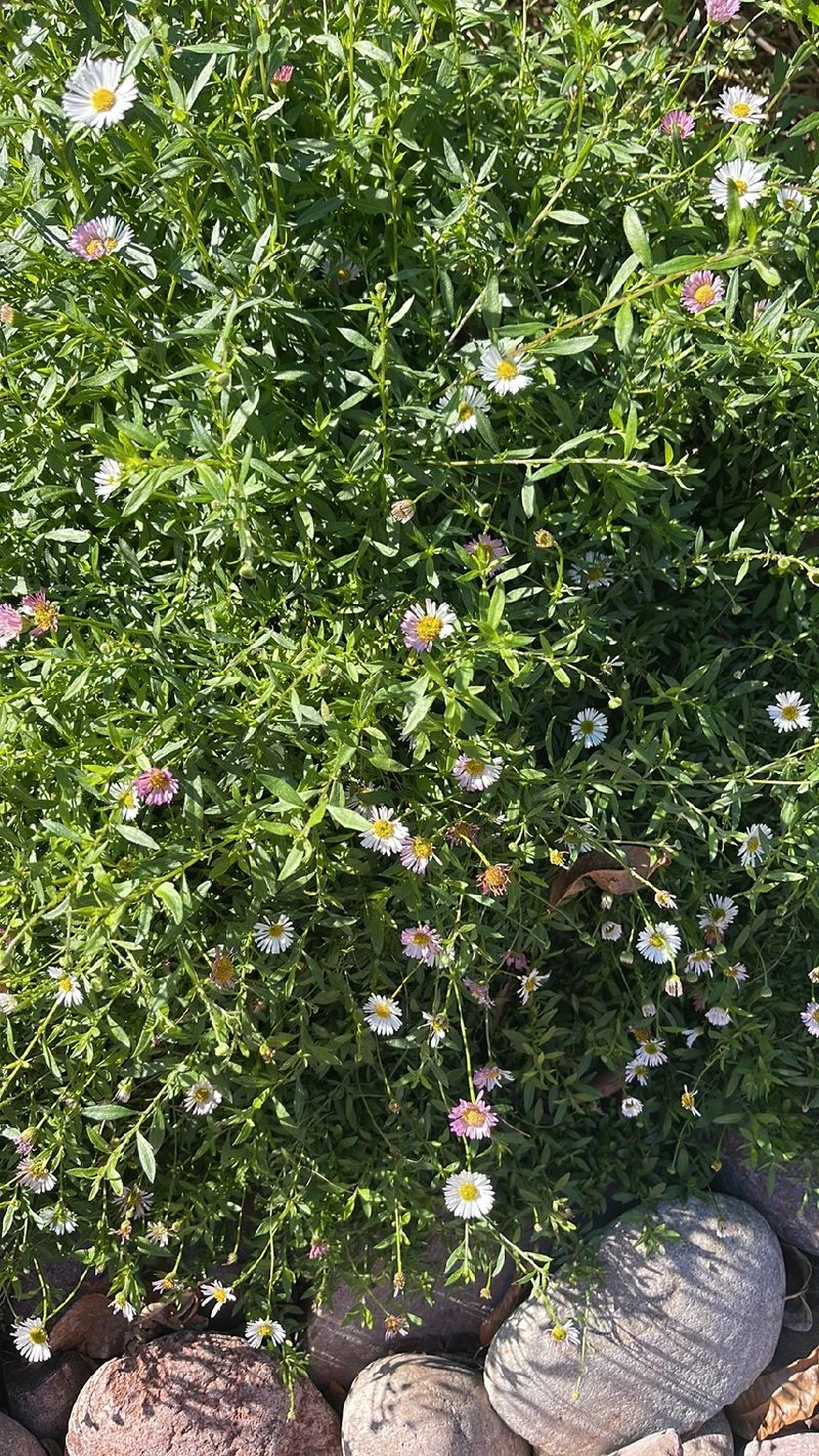 452899641336332290.jpeg?x-oss-