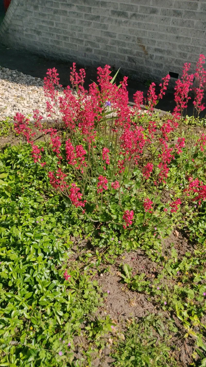 Finca Flor del Olivo Eventos (@fincaflordelolivo_eventos) • Instagram  photos and videos, image size:800x1422