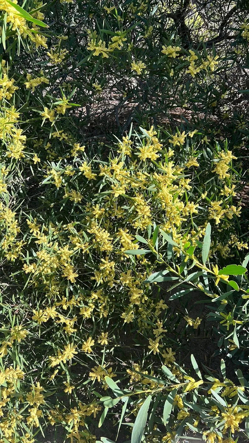 Definitionsprint \, image size:800x1422