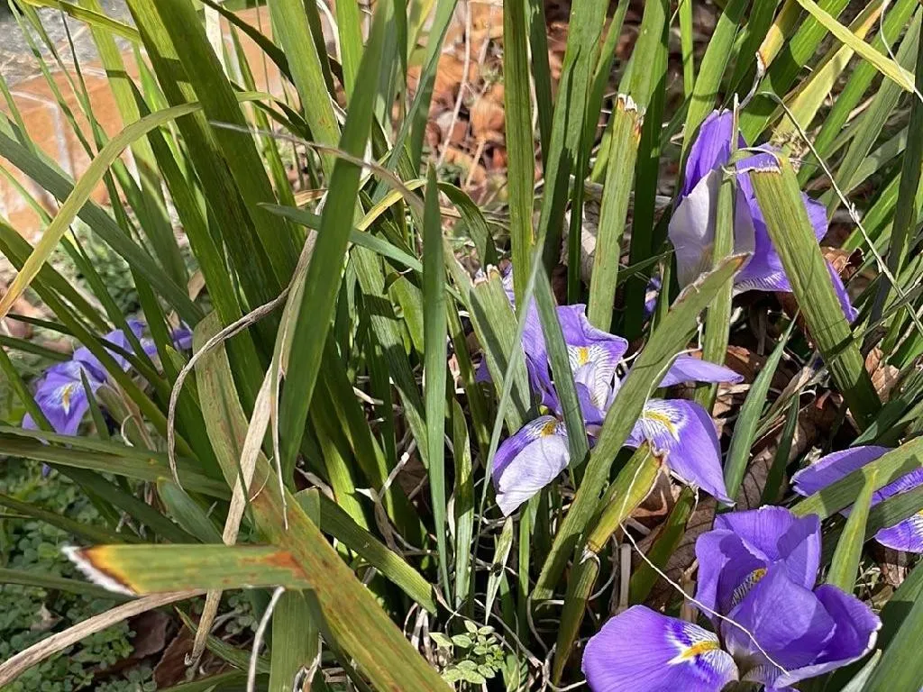 su guía para hacer un viaje inspirado en el bienestar a Washington, DC |  Washington DC, image size:1024x768