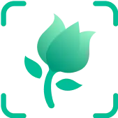 PictureThis - Plant Identifier App | Plant Identification Online
