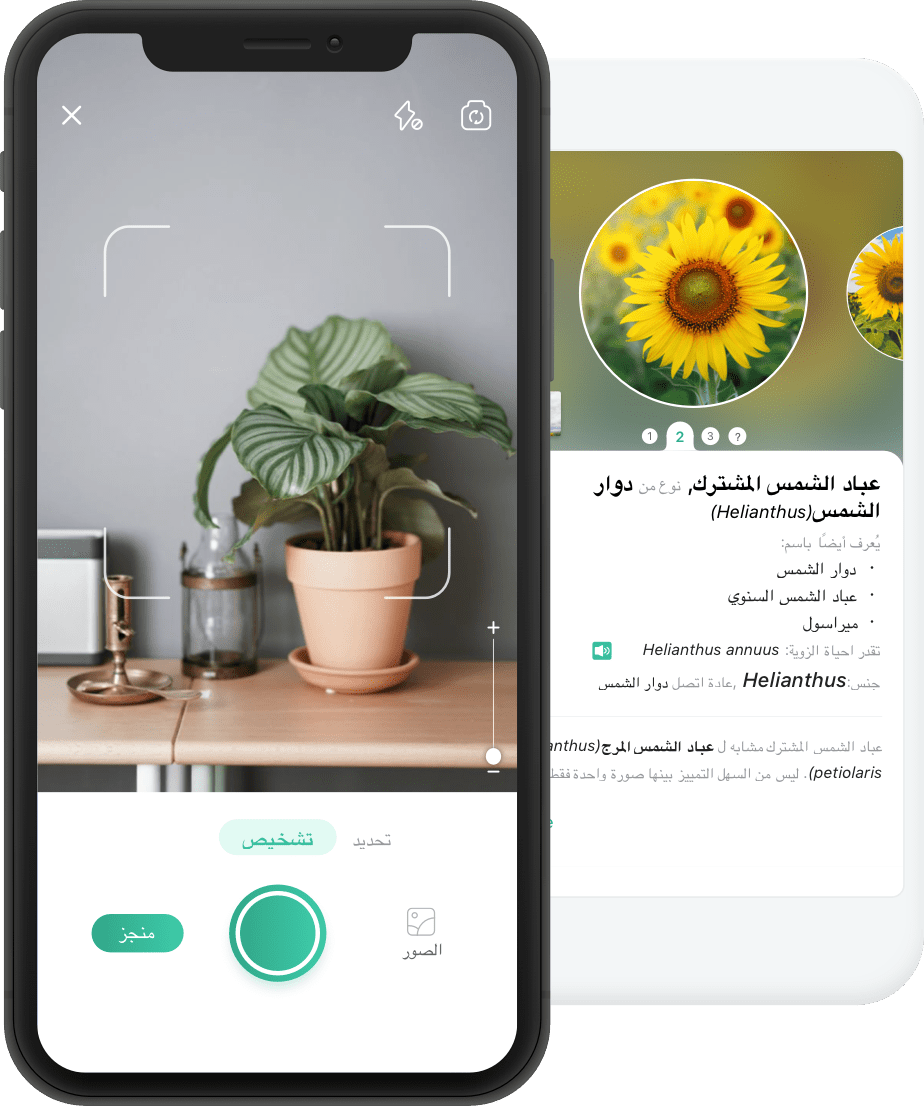 this is a product img