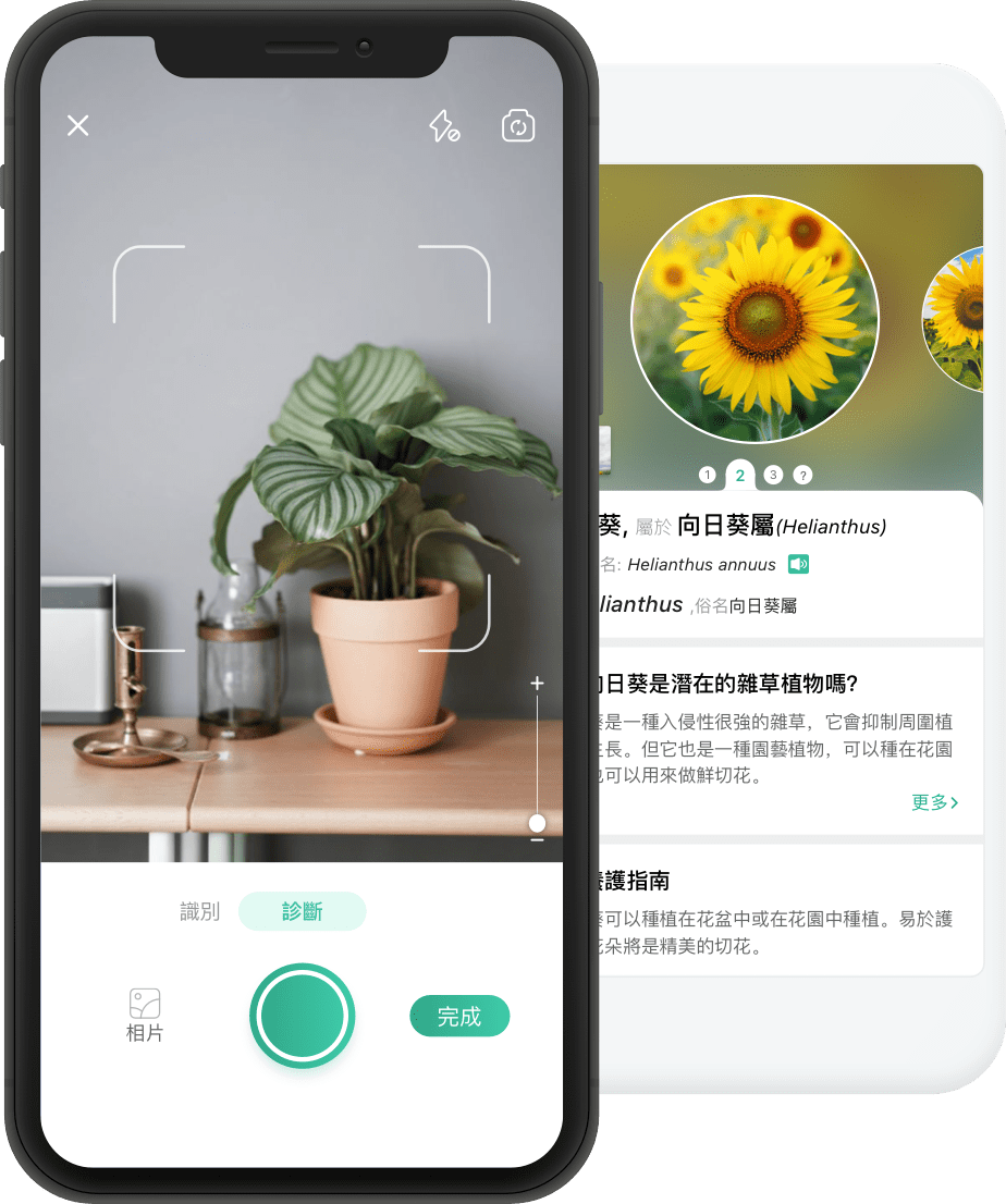 this is a product img