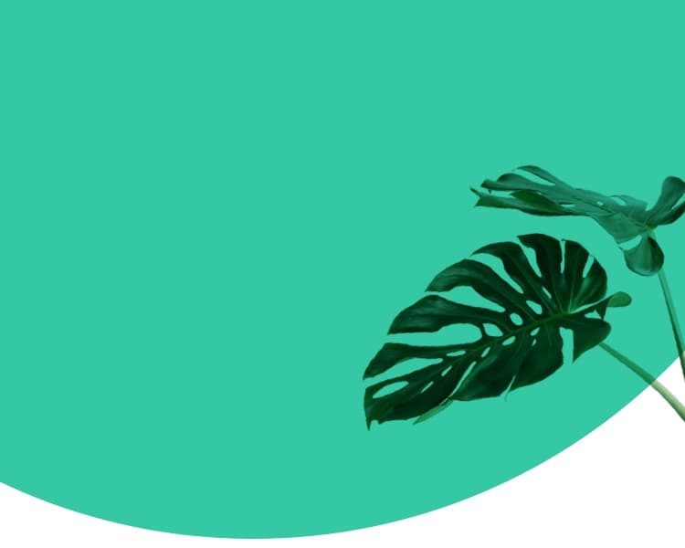 this is a background img