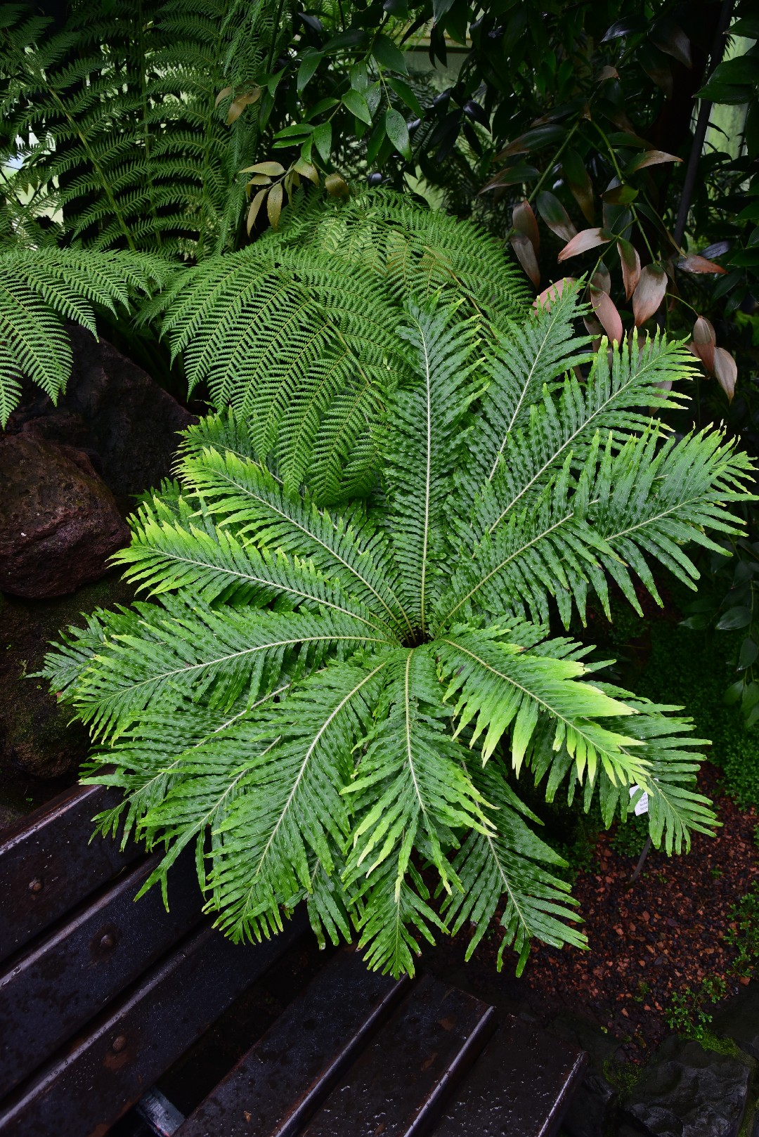 しだみっけ@志段味フリーペーパー (@shidamikke) • Instagram photos and videos, image size:1080x1618