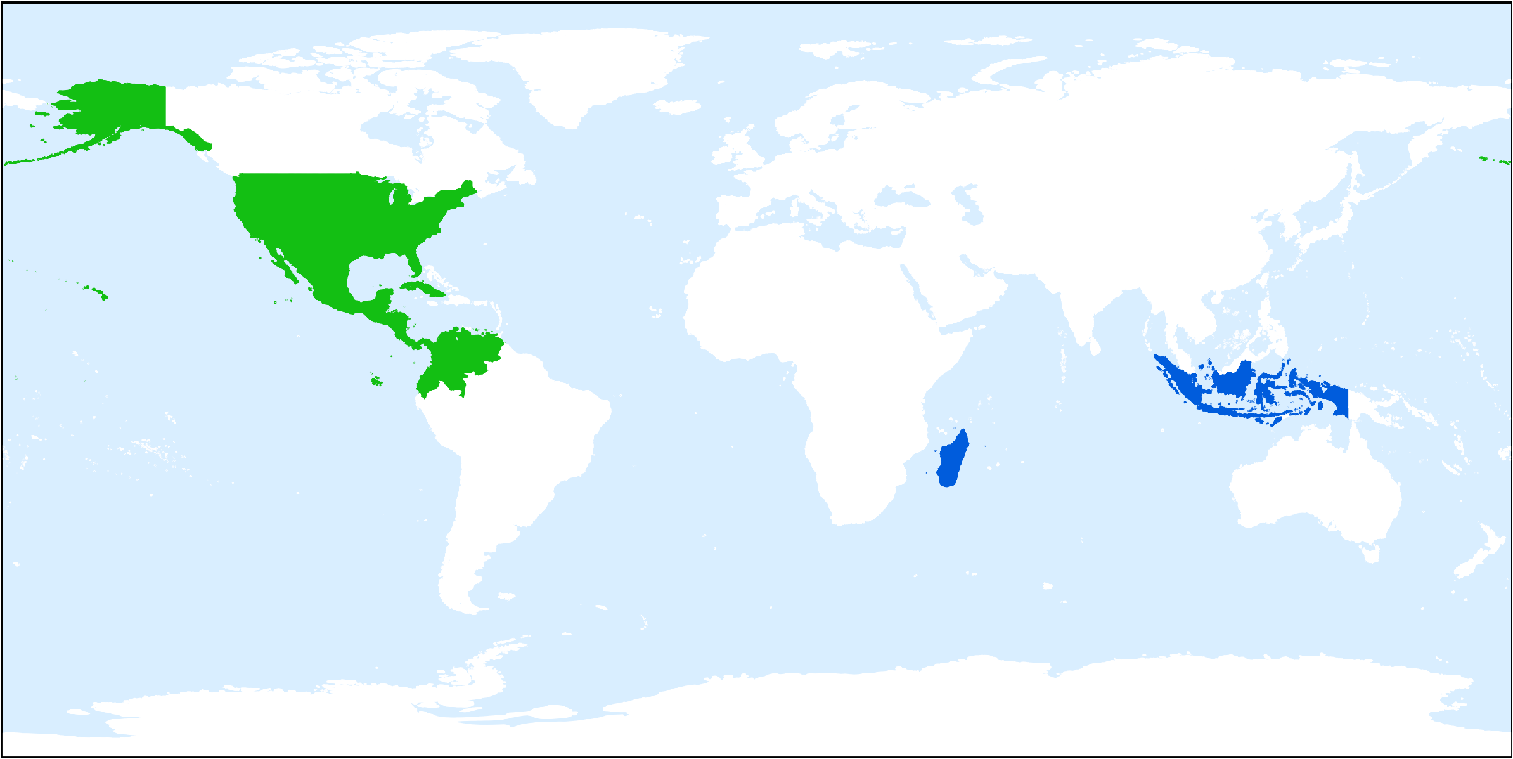 Ipomoea trifida PictureThis
