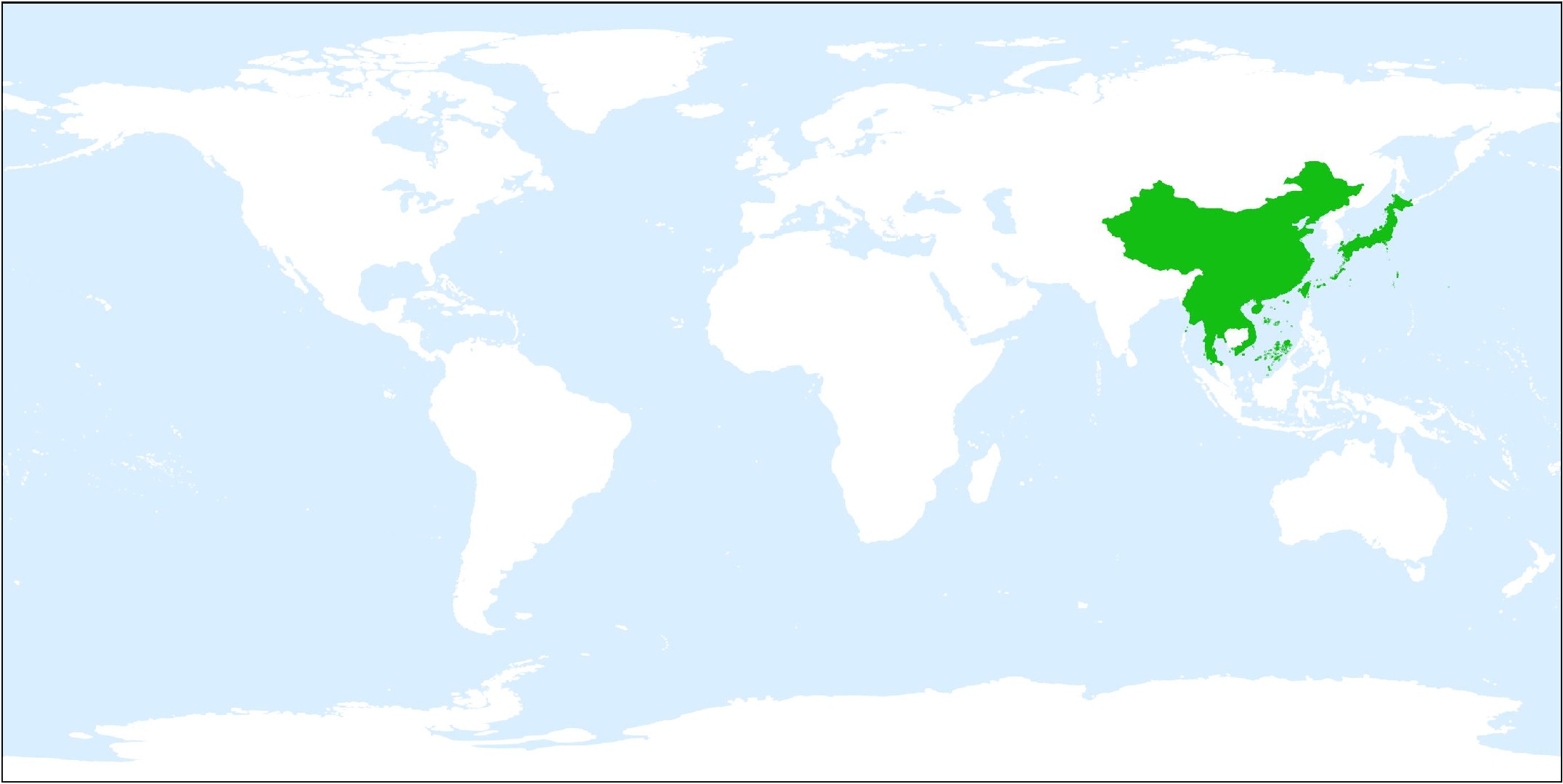 Elaphoglossum yoshinagae - PictureThis