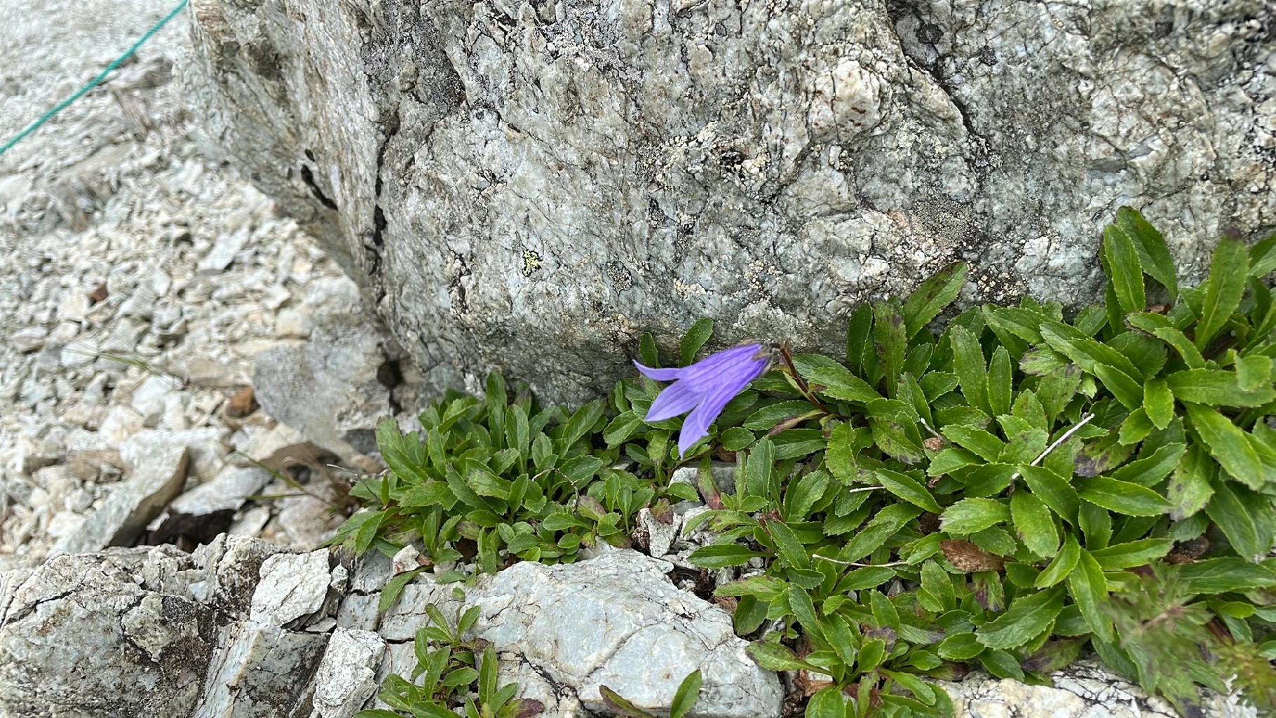 Ruta Mundo Chachapoyas: entre neblina, piedra y tradición - Rumbos de Sol \u0026  Piedra, image size:1820x1024