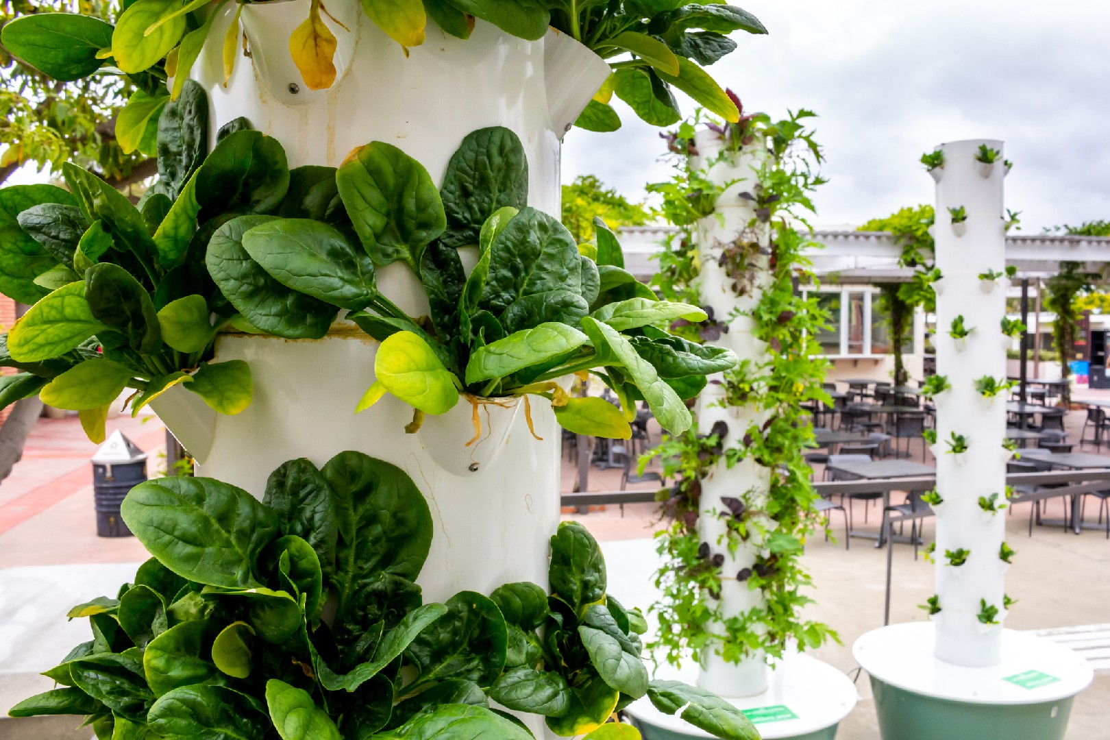 How to Build Vertical Garden Structures for Your Edible Greens