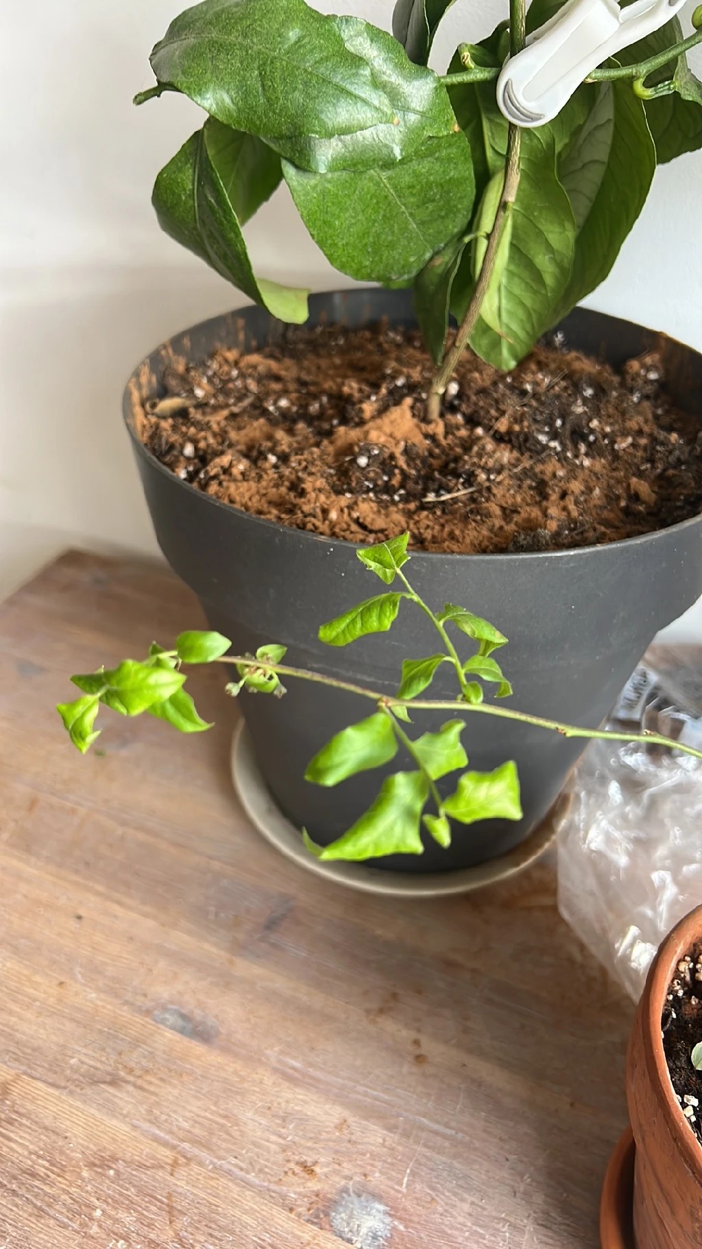 Советы по повышению урожайности