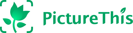PictureThis
