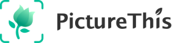PictureThis