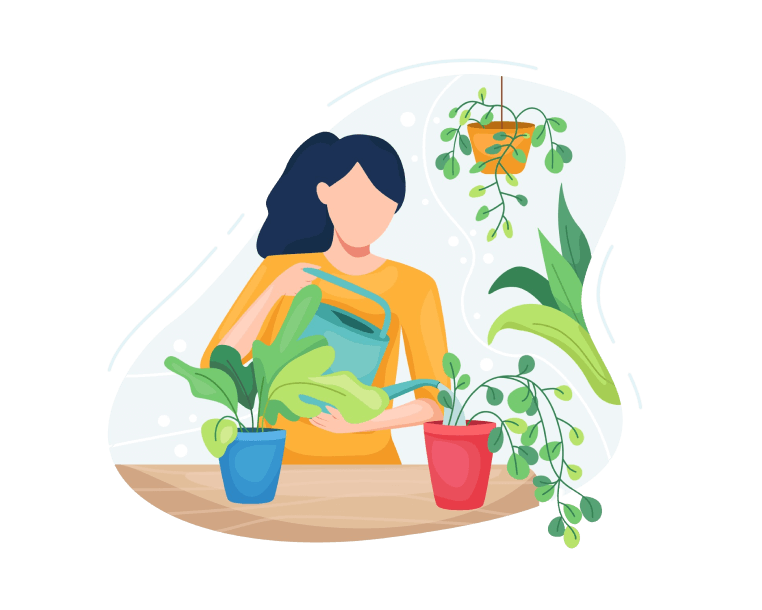 salmon barberry (Berberis) Flower, Leaf, Care, Uses PictureThis